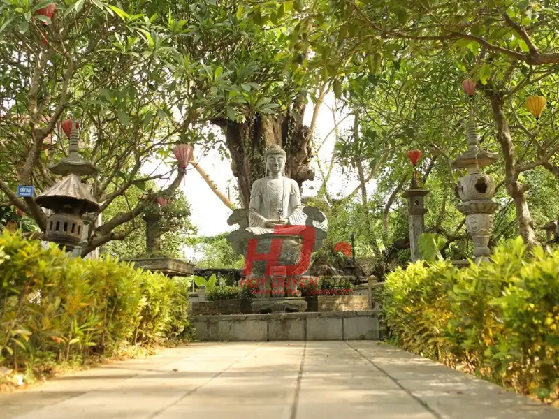 cây trồng khu lăng mộ