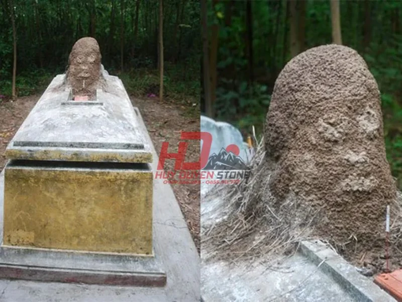 tổ mối trên mộ tốt hay xấu