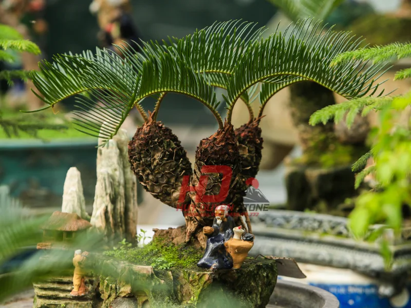 cây trồng khu lăng mộ