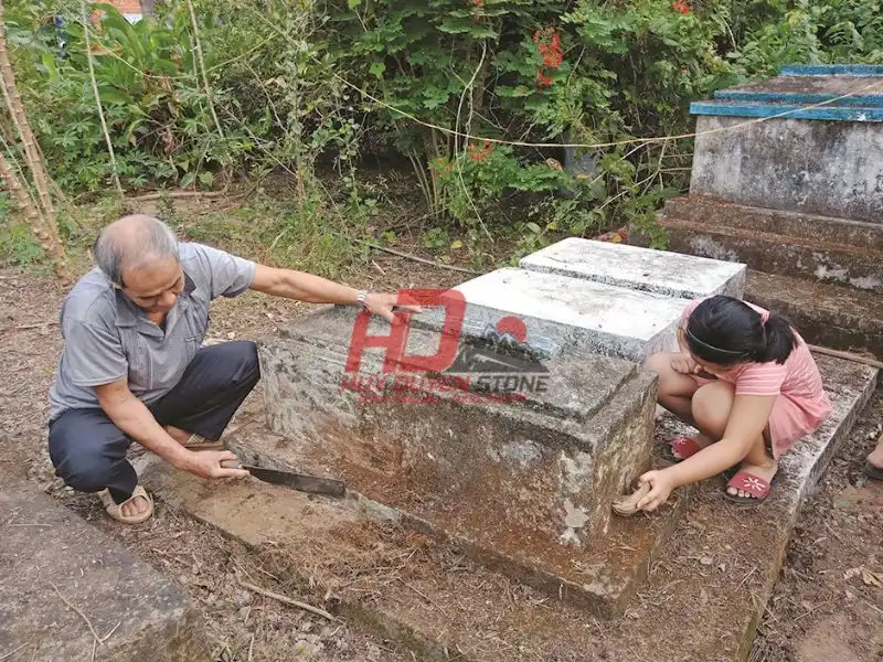 mối làm tổ trên mộ tốt hay xấu