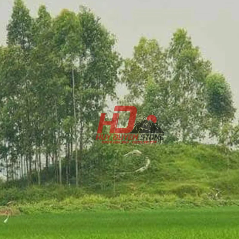 mộ kết