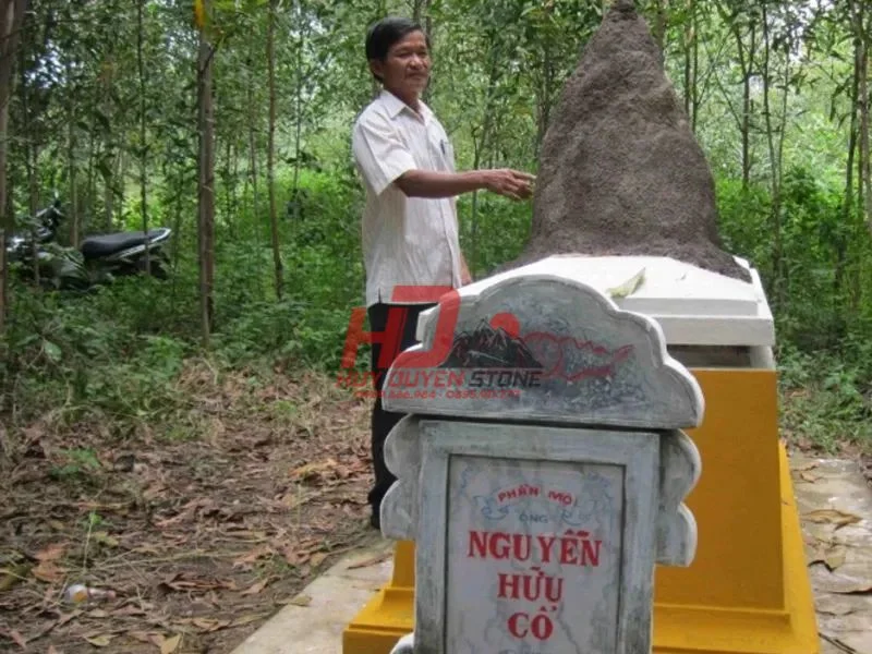 tổ mối trên mộ tốt hay xấu